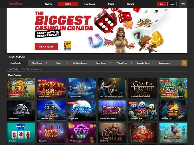 Bodog Casino