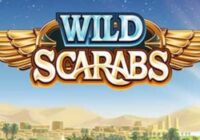 Wild Scarabs